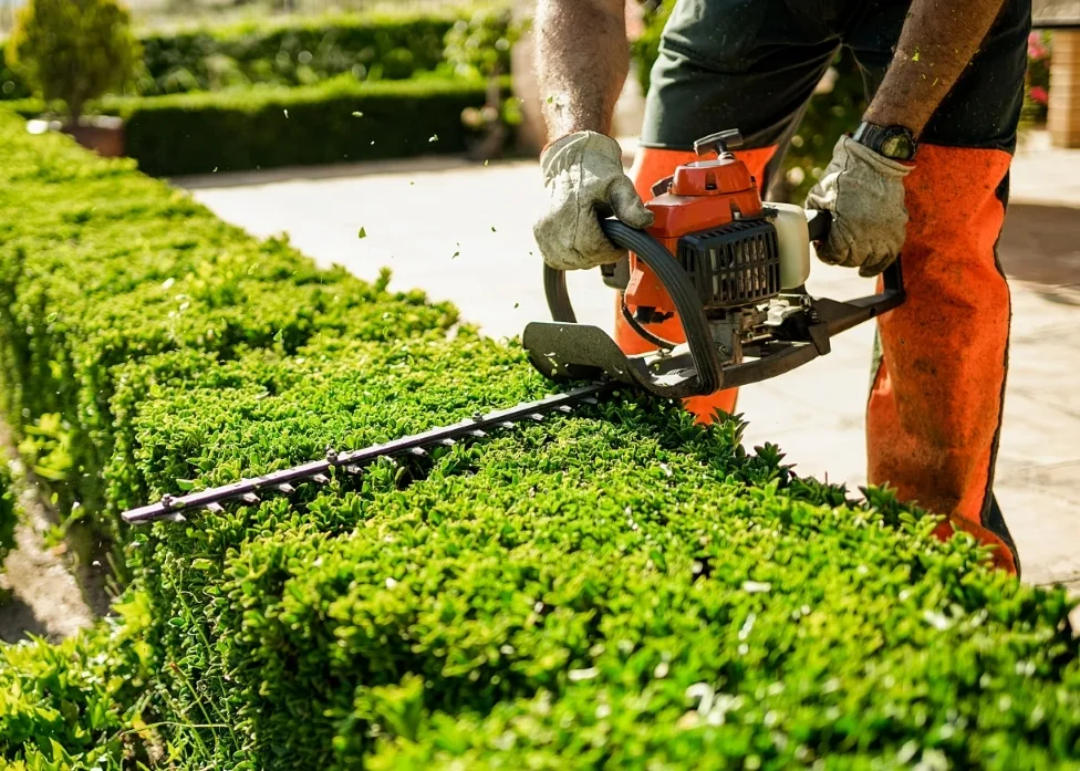 ProMeti-Mitarbeiter schneidet eine Hecke bei der Hauswartung und Aussenpflege