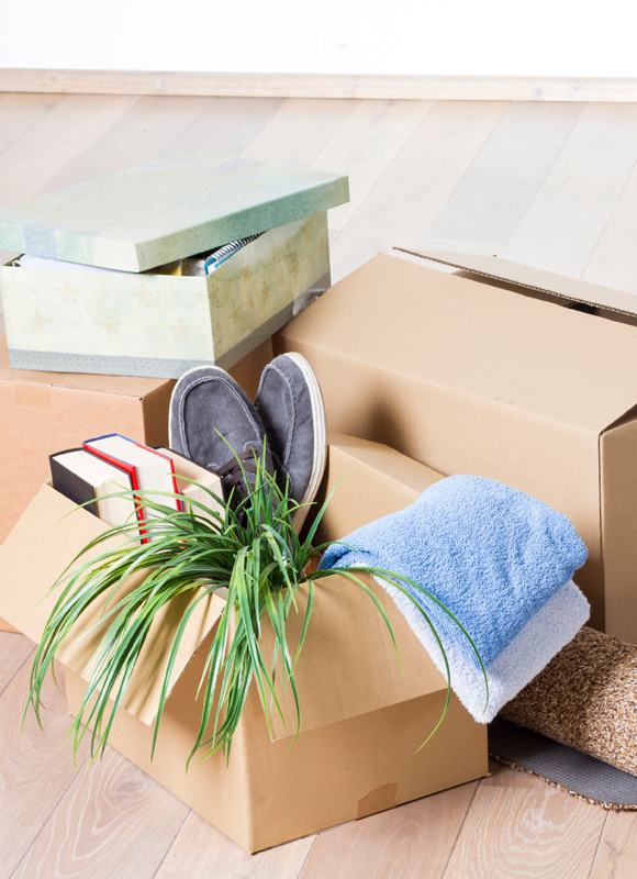 Mitarbeiter trägt Kartons bei einer Wohnungsräumung